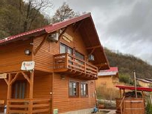 Casa Favorit - accommodation in  Hateg Country (35)