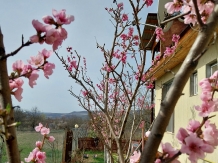 Casa Loreta - accommodation in  Muntenia (18)